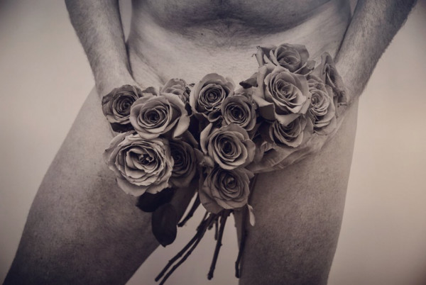 For The Roses by Ann-Marie Stillion