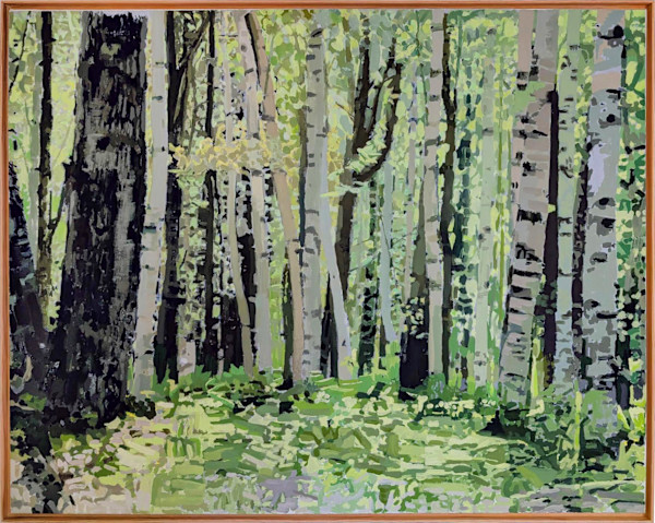 Birch Forest, Late Spring, Maine by Michael Howard