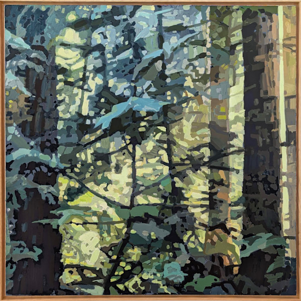 Forest, South Whidbey Island by Michael Howard