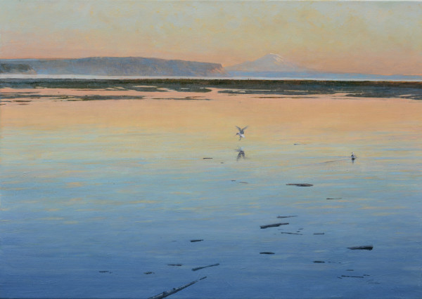 Seagulls at Sundown by Pete Jordan