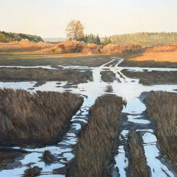 Wet Land, Whidbey Island by Pete Jordan