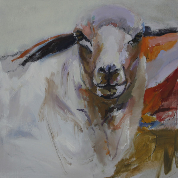 Lamb Portrait In Orange & Violet by Claudia Pettis