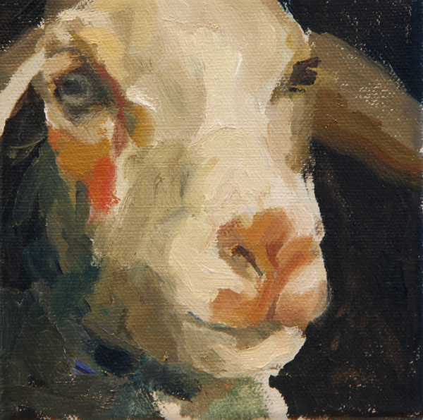 Little Lamb by Claudia Pettis