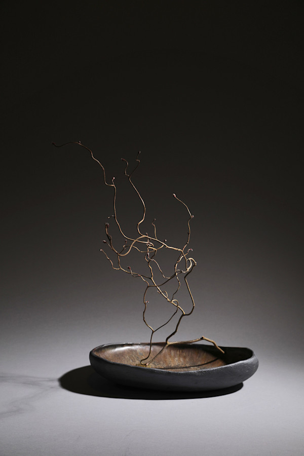 Initial Thought by Nancy Loorem Adams