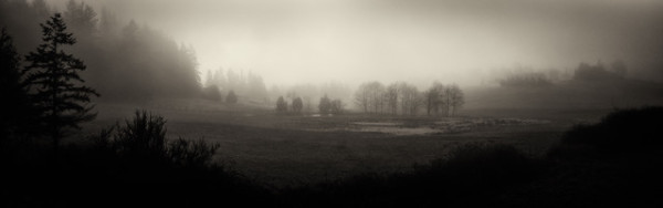 Morning Fog by Skip Smith
