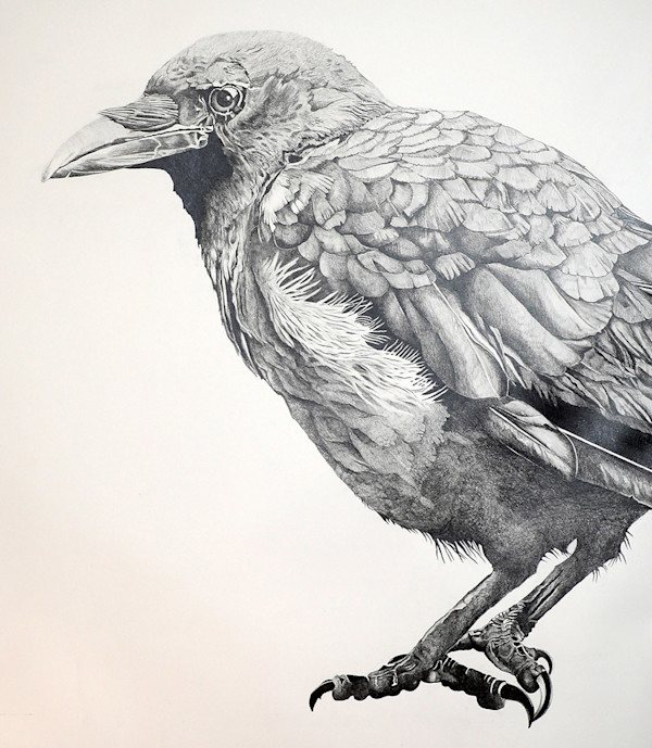 Mr. Crow by Cynthia Snellman, Image 1.