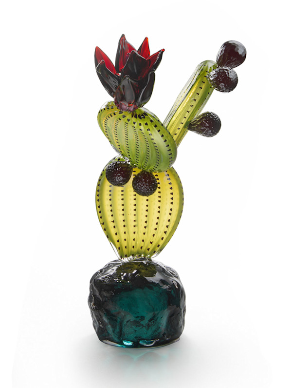 Nopal Floreciendo by Manolo Aguilera