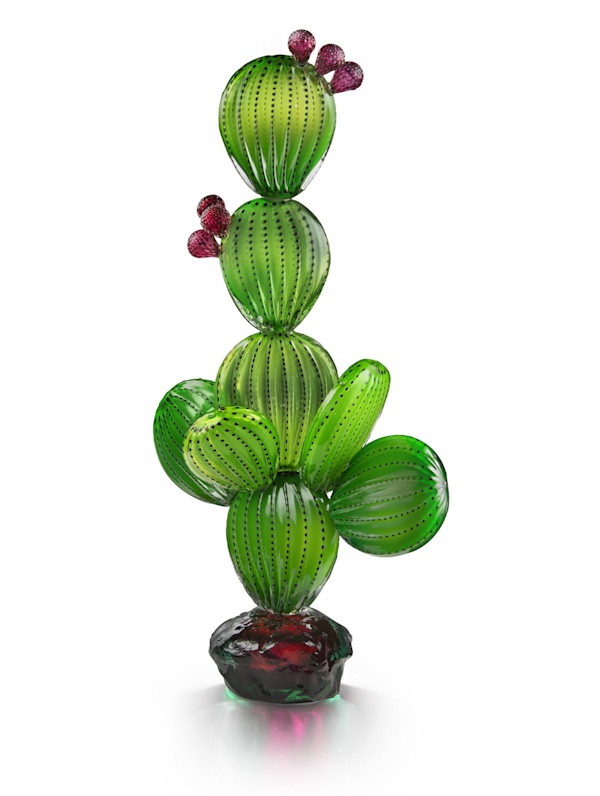 Nopal Grande by Manolo Aguilera