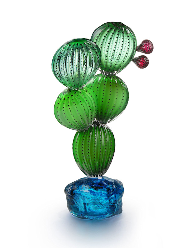 Nopal Con Roca Azul by Manolo Aguilera