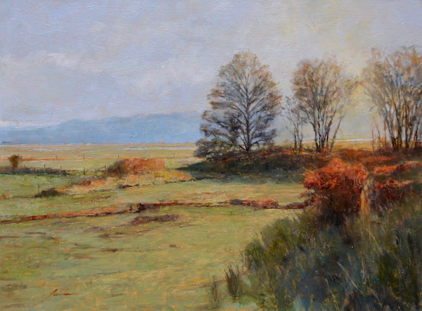 Maxwelton Valley, Whidbey Island by Pete Jordan