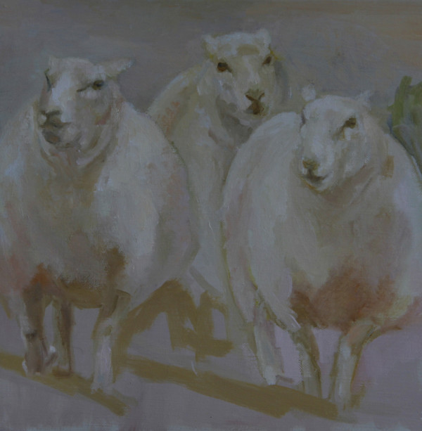 Palest of Sheep in Colors of Roses by Claudia Pettis