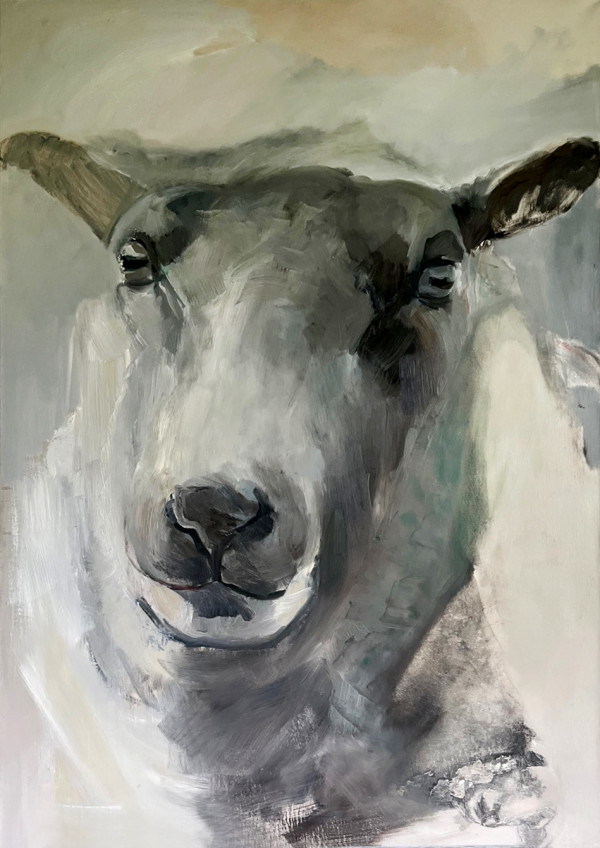 Sheep Portrait in the Fields by Claudia Pettis