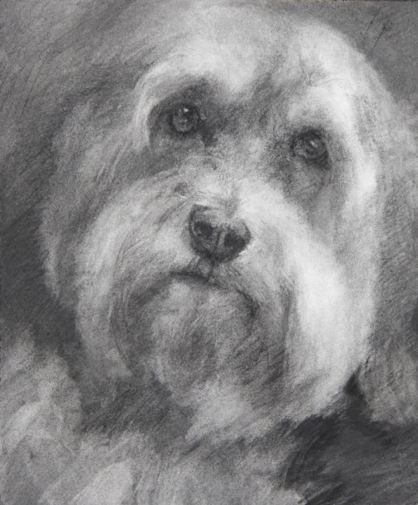 A Pup Named Walter (commission) by Claudia Pettis