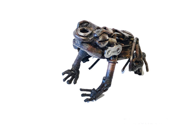 Small Frog by Aidan Rayner