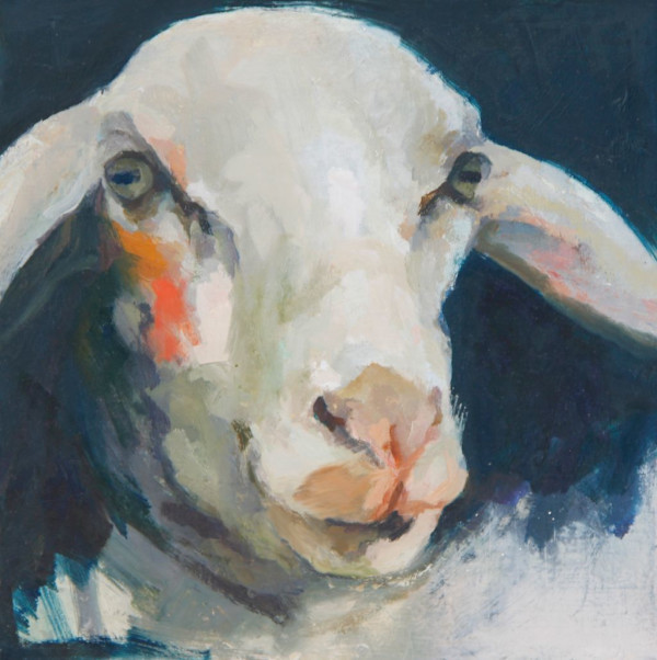 Red Cheeks - A Sheep Portrait by Claudia Pettis