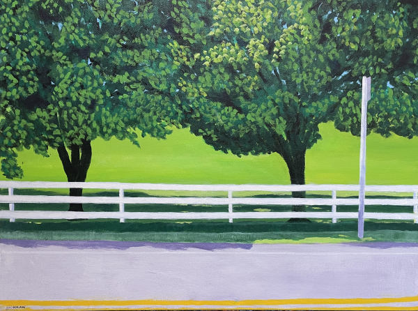 Roadside Attractions by Dewey Schurman