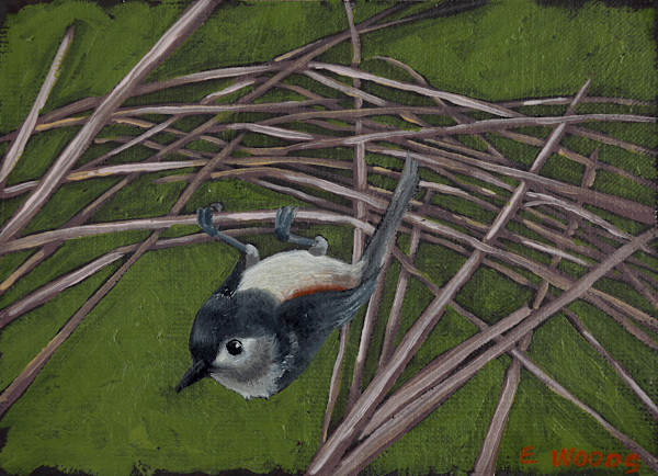 Romancing Pink by Evelyn Woods