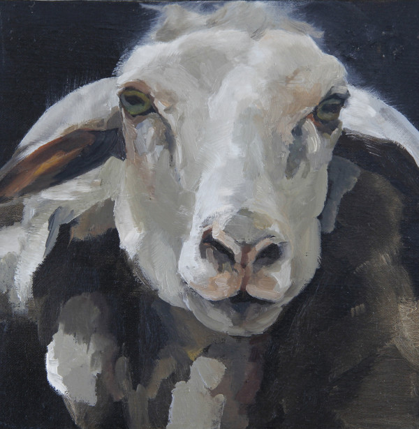 Sheep Portrait - Full Face by Claudia Pettis