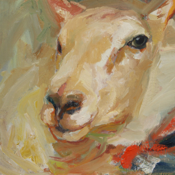 Sheep Portrait Facing West by Claudia Pettis