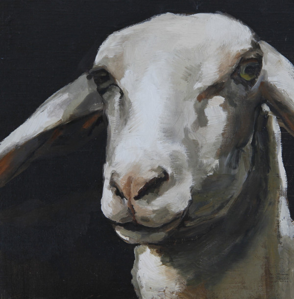 Sheep Portrait Three-Fourths View by Claudia Pettis