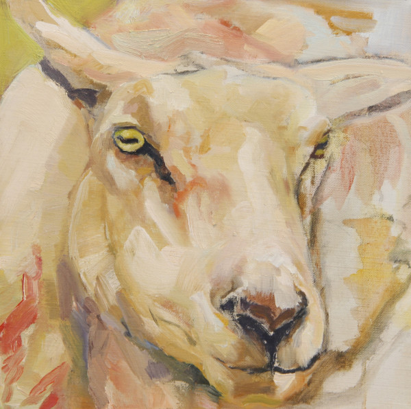 Sheep Portrait in Rose and Yellow by Claudia Pettis