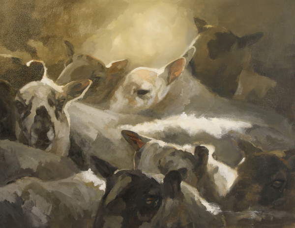 Sheep in the Gap by Claudia Pettis