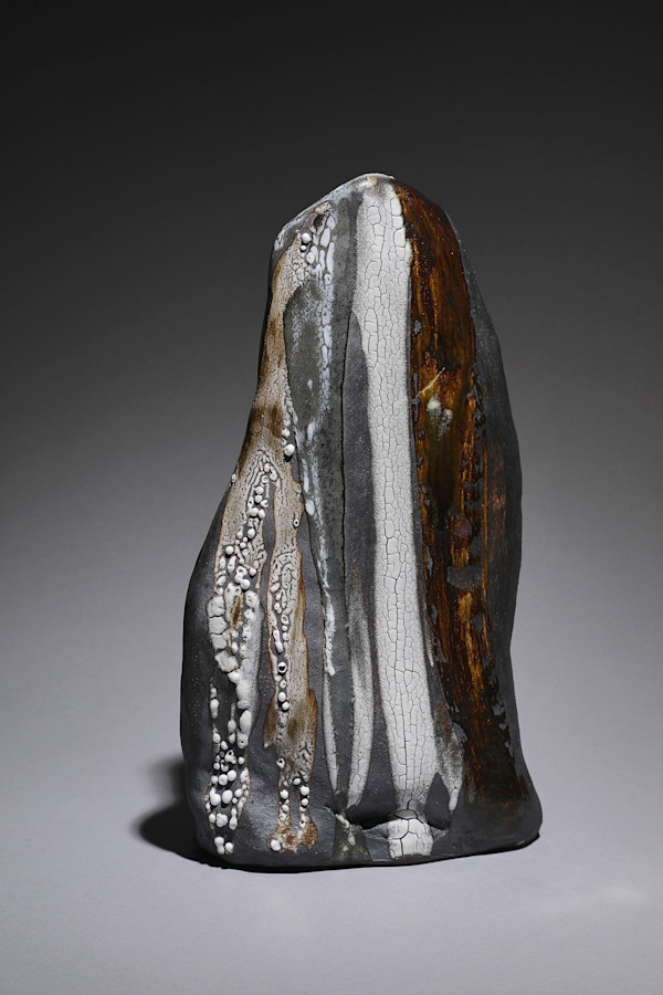 Soar by Nancy Loorem Adams