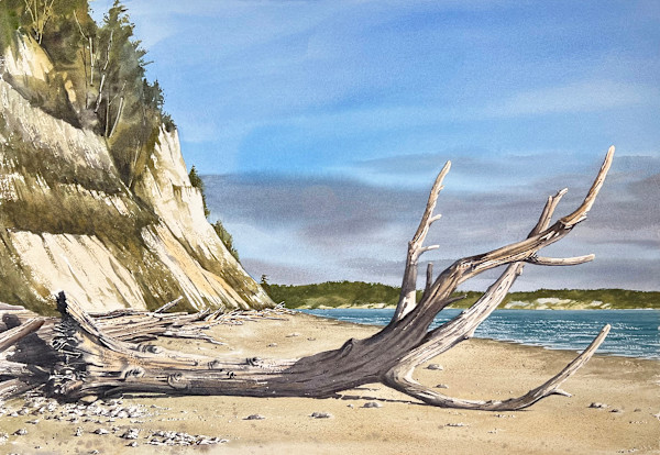 Sunbleached II by David Van Galen, Image 1.