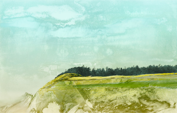 Windswept  (The Bluff at Ebey's Landing) 1/5 by Iskra  Johnson