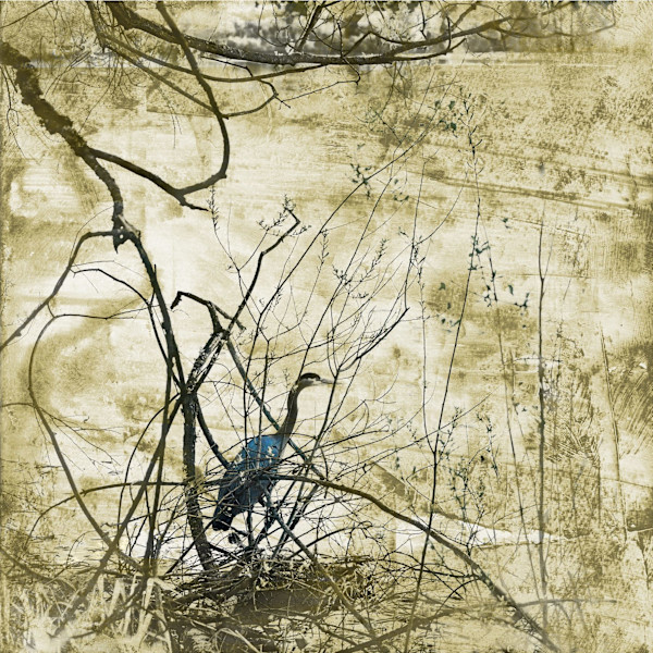 The Heron 7/350 by Iskra Johnson, Image 1.