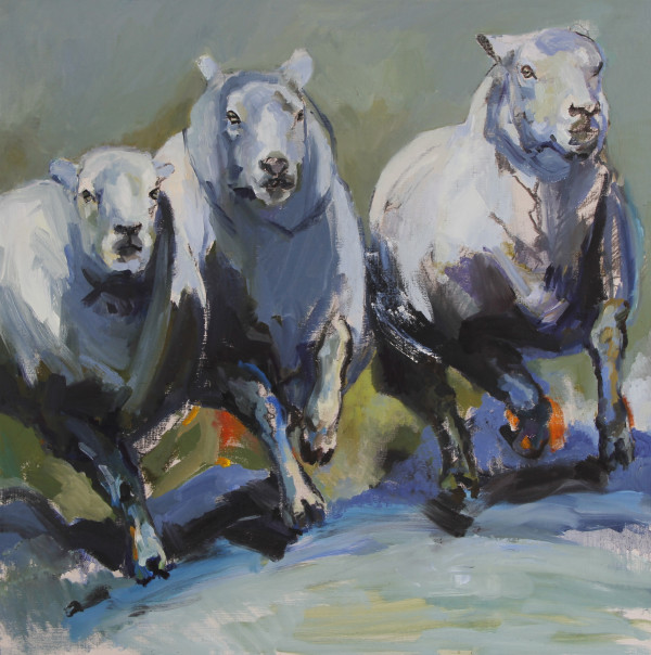 Three Sheep Race In Blue by Claudia Pettis