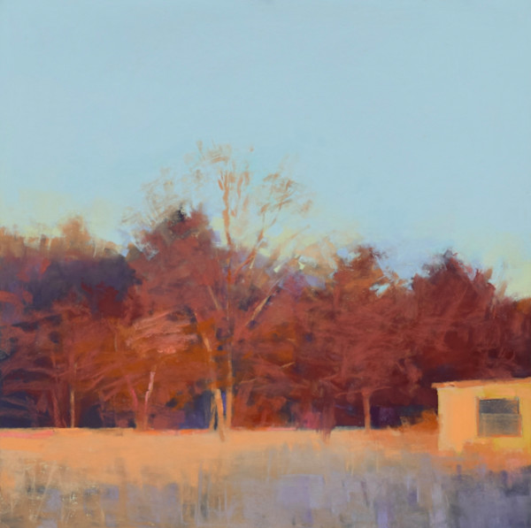 In The Company of Trees by Alexandra Boyden