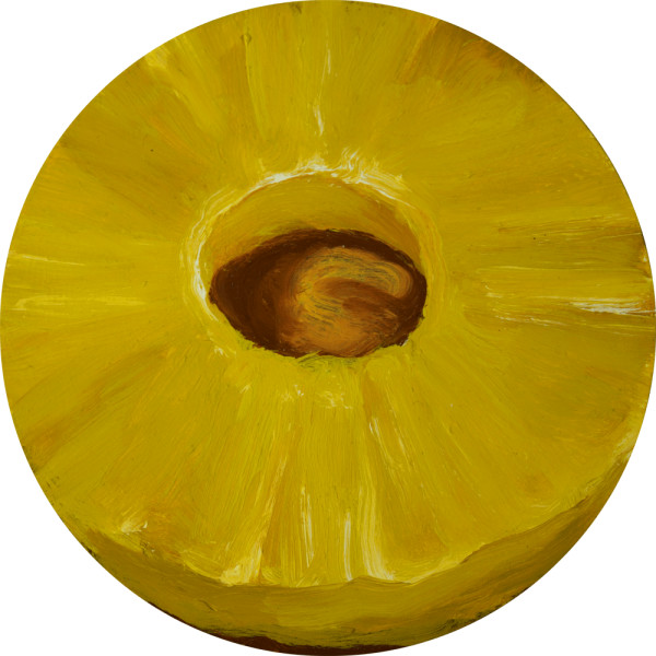 Canned Pineapple by Jane Richlovsky
