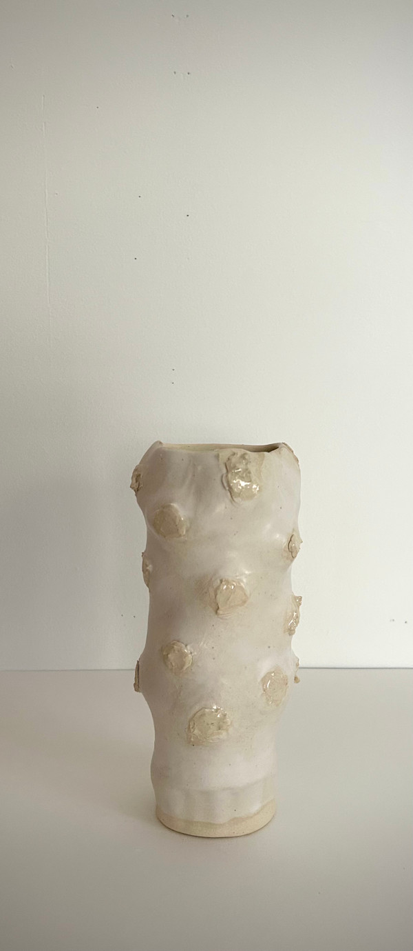 Vessel #33 by Evelyn Woods