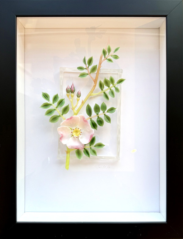 Wild Rose by Janis Miltenberger