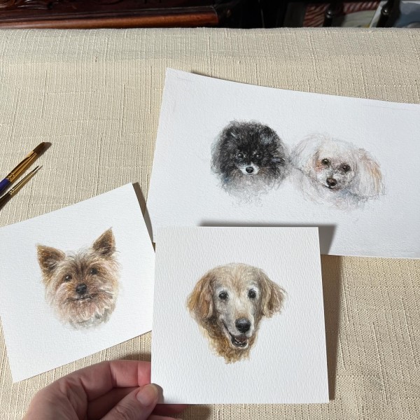 Four dogs for Kim Kubiak by Thimgan Hayden