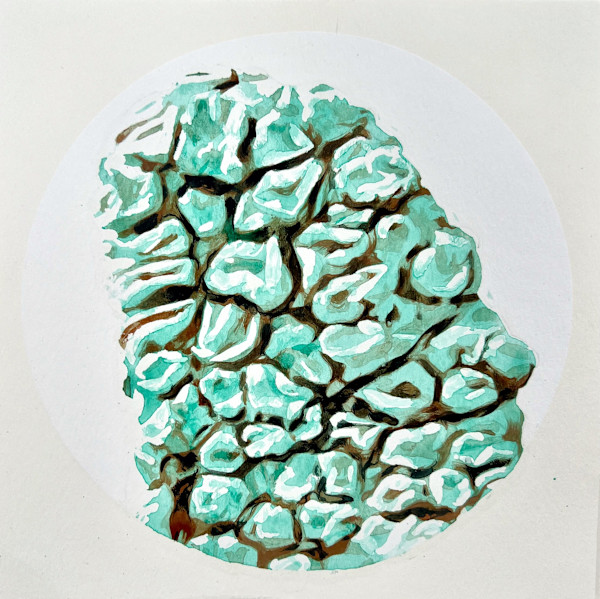 Digest Hard Times Like Lichen Eats Rocks: Great Basin Desert Notes by Melissa Mohammadi, Image 1.