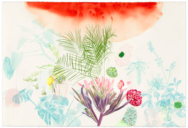 Grow Towards the Red Light by Melissa Mohammadi