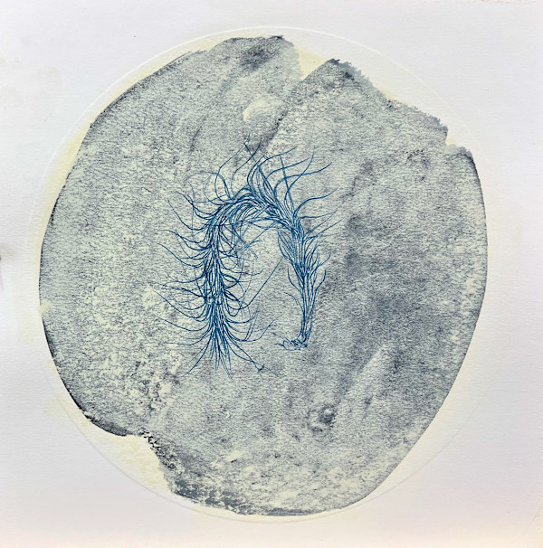 Rest, Fossil by Melissa Mohammadi, Image 1.