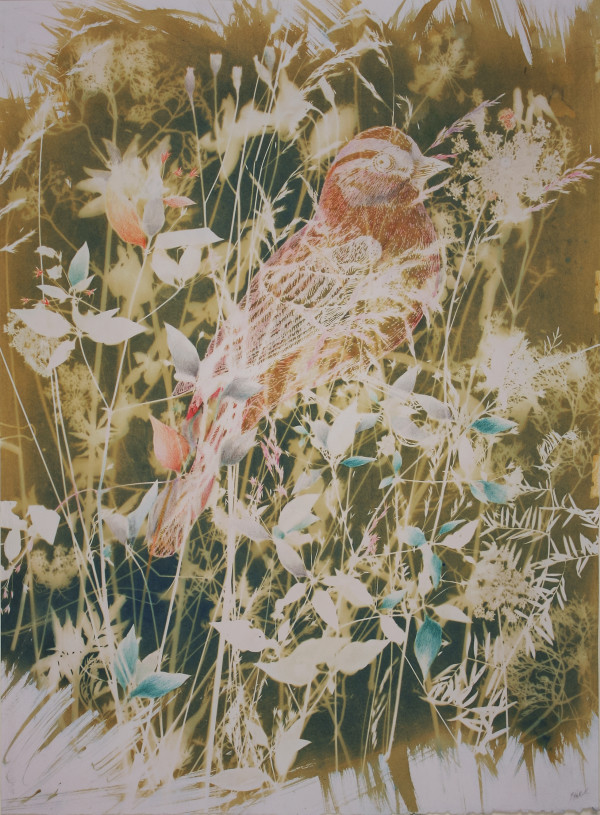 Sunshine Sparrow by Bonnie Baker Studio