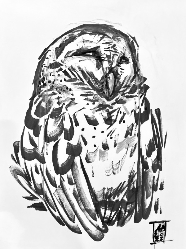 Owl Study by Alec DeJesus