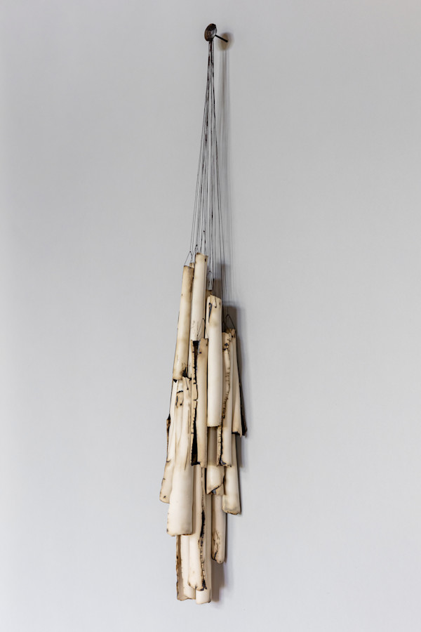 Bundled Bones by Karyn Gabriel