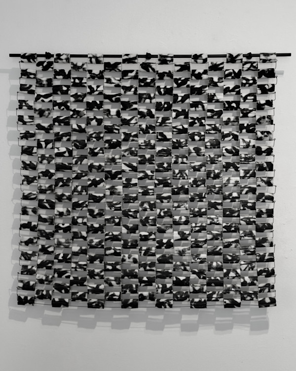 Catch Me When I Fall No.2 by Karyn Gabriel, Image 1.