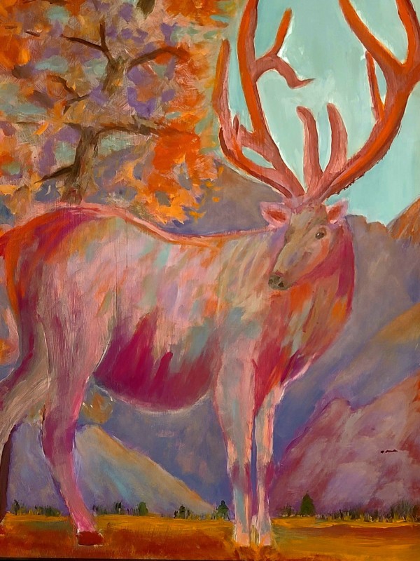 Elk In Payson AZ, Image 1.