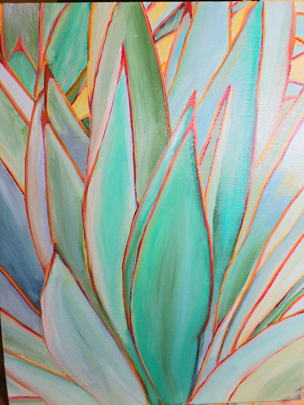Aloe, Image 2.