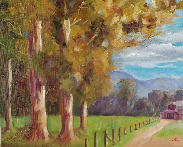 Los Olivos Eucalyptus, Image 1.