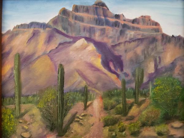 Shadow Cougar in the Superstition Mountians, AZ, Image 1.