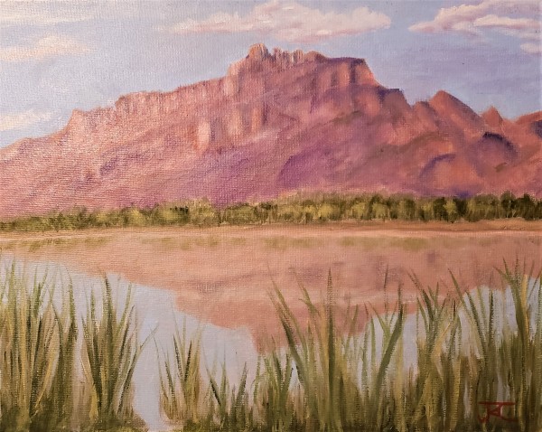 Red Mountian Southern View by Judy Curran, Image 1.