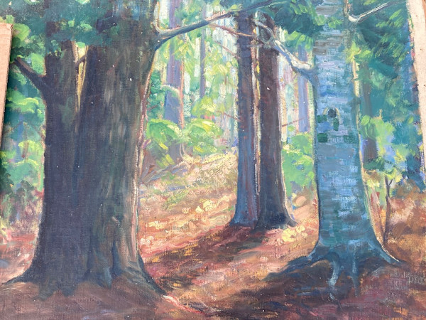 Carl G. T. Olson original painting of a forest scene on canvas #173