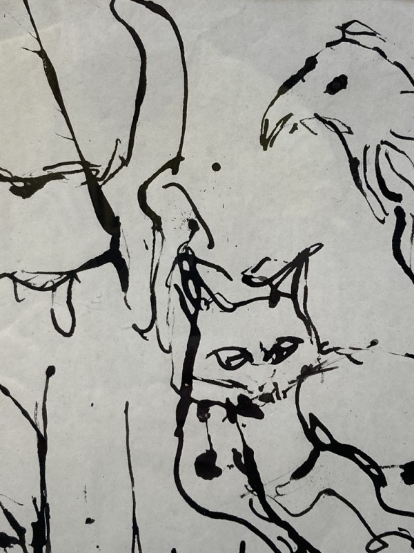 Original ink Cat and Bird drawing - James Quentin Young